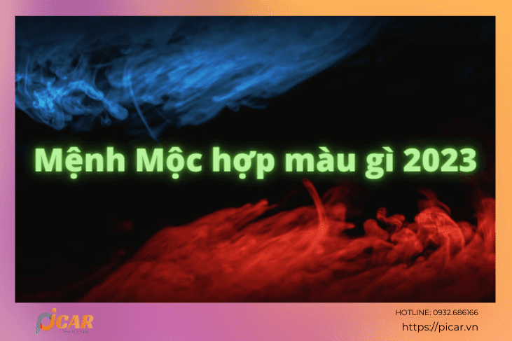 Mệnh Mộc hợp màu gì 2023 Mệnh Mộc hợp màu gì 2023