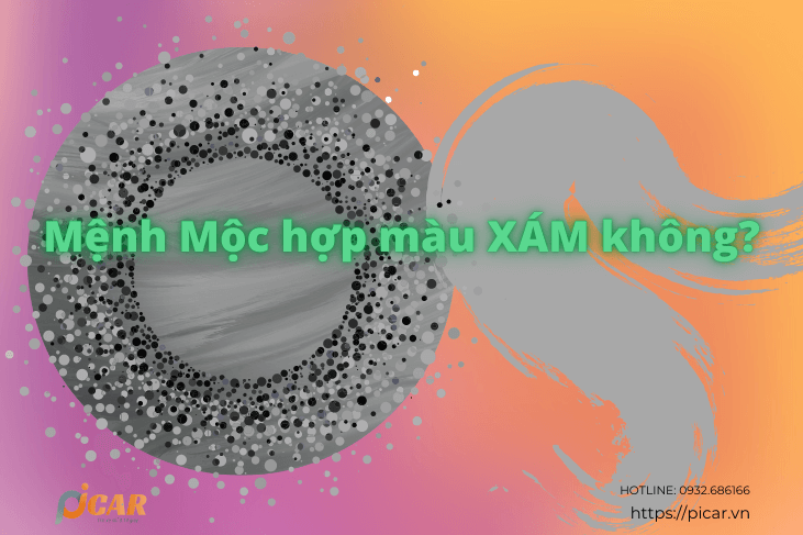 menh moc hop mau xam khong Mệnh Mộc hợp màu xám không