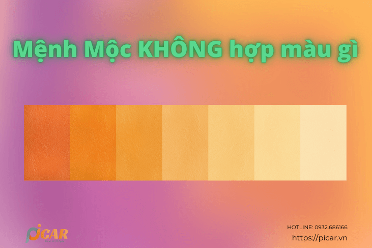 Mệnh Mộc không hợp màu gì Mệnh Mộc không hợp màu gì
