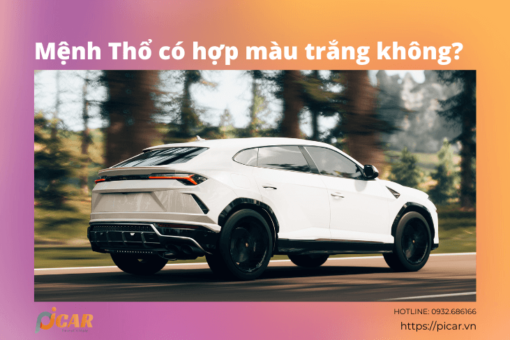 mệnh thổ hợp màu trắng không mệnh thổ hợp màu trắng không