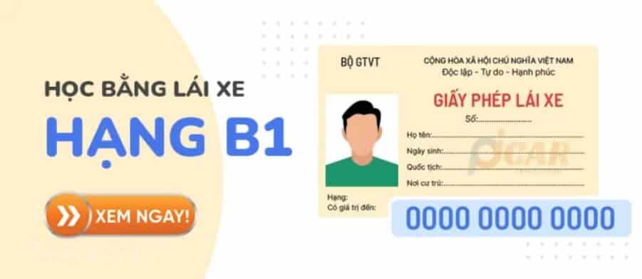 Học lái xe B1 picar Học bằng lái xe B1