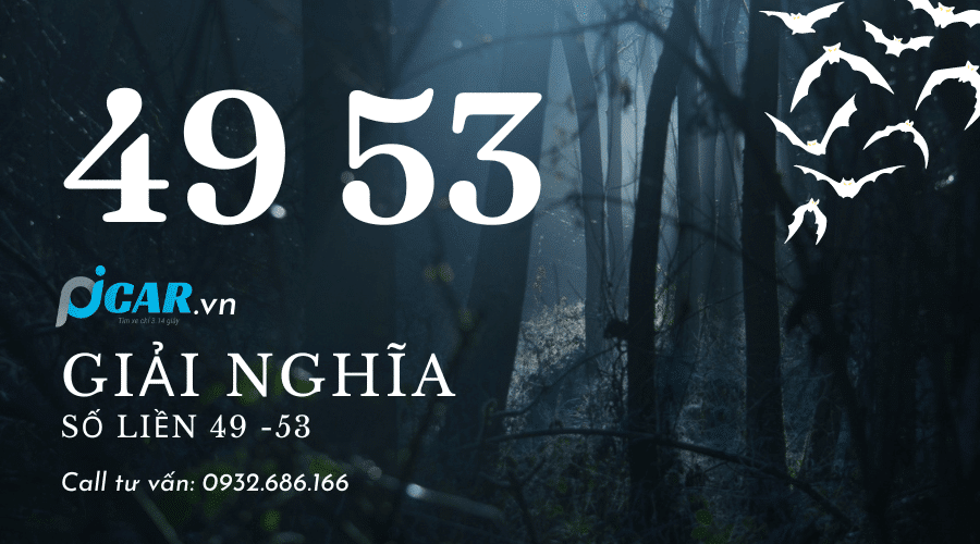 49 53 49 53
