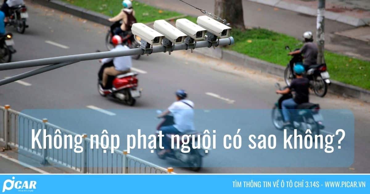 tra cuu phat nguoi 18 tra cuu phat nguoi 18