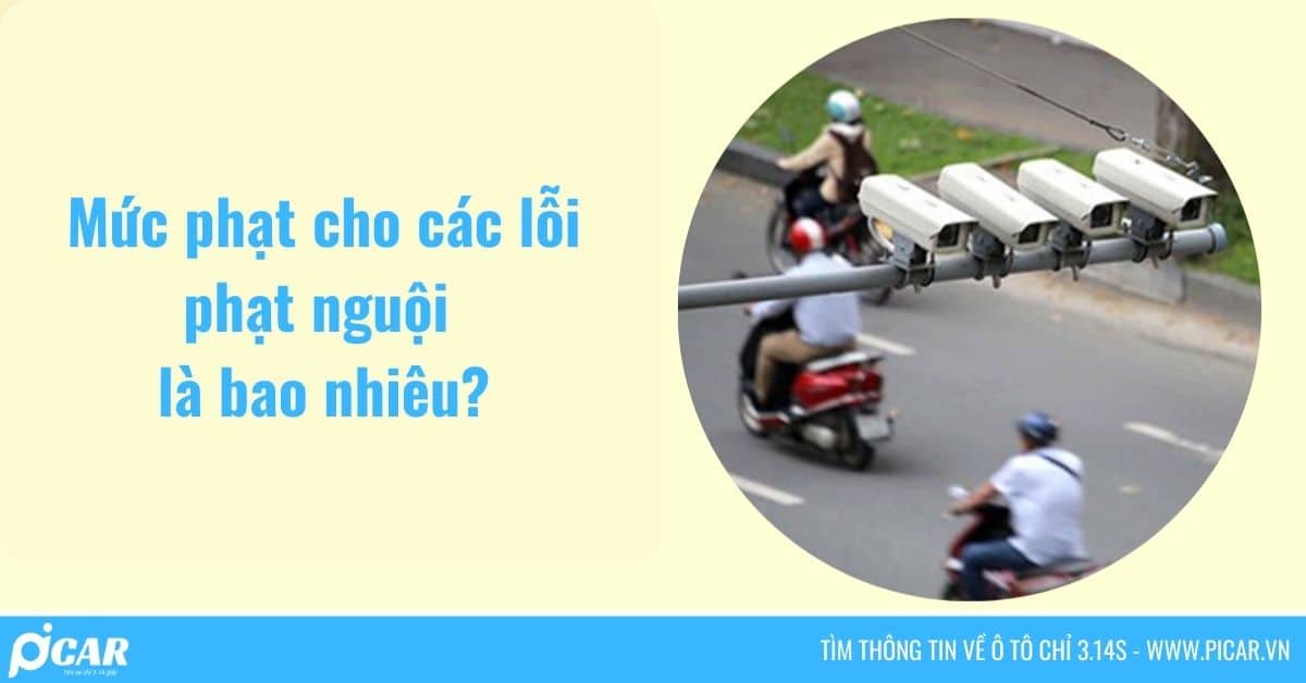 tra cuu phat nguoi 6 tra cuu phat nguoi 6
