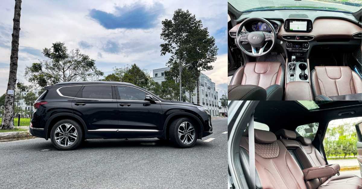 Thiết kế khỏe mạnh, sang trọng Thiết kế khỏe mạnh, sang trọng